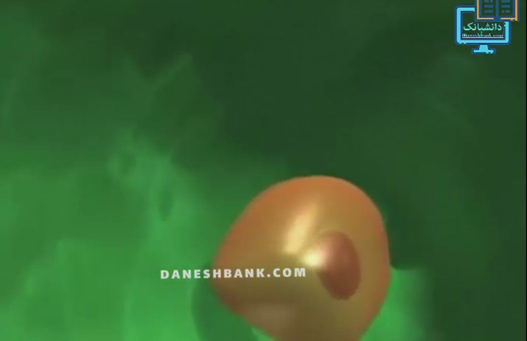 متاستاز